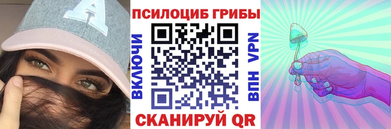 Псилоцибиновые грибы ЛСД  Купить где  Алейск 